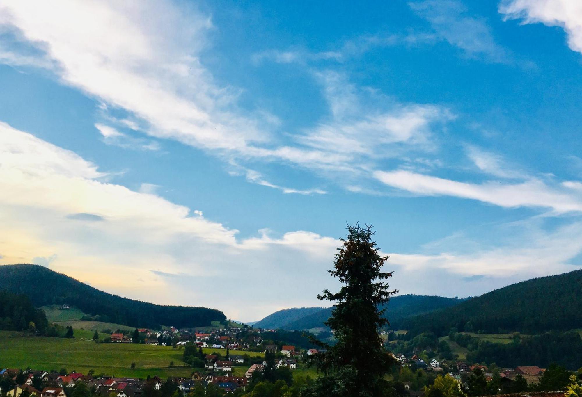 Goldener Hahn B&B Baiersbronn - Ferienwohnungen Mit Hotel Service Nahe Gartenschau Tal X Екстериор снимка